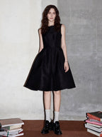 Waist-Cinching Sleeveless Dress